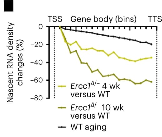 Open access visualization of Line Plot, Line Step, EU-seq, Read density, TSS