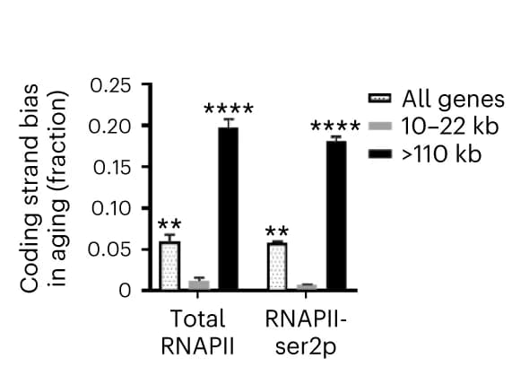 Open access visualization of Bar Plot, Error Bars, Clustered, Sequencing reads, Coding strand