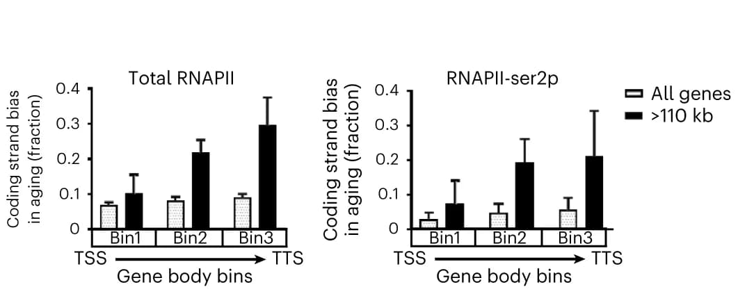 Open access visualization of Bar Plot, Error Bars, Clustered, Sequencing reads, Coding strand