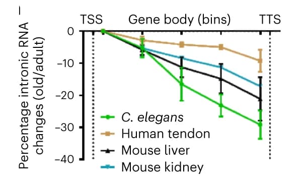 Open access visualization of Line Plot, Error Bars, EU-seq, Transcription elongation, Mouse Liver