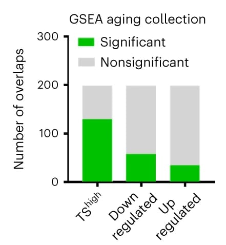 Open access visualization of Stacked Bar Plot, GSEA aging datasets, TS high, Promoter-upregulated genes, Downregulated genes