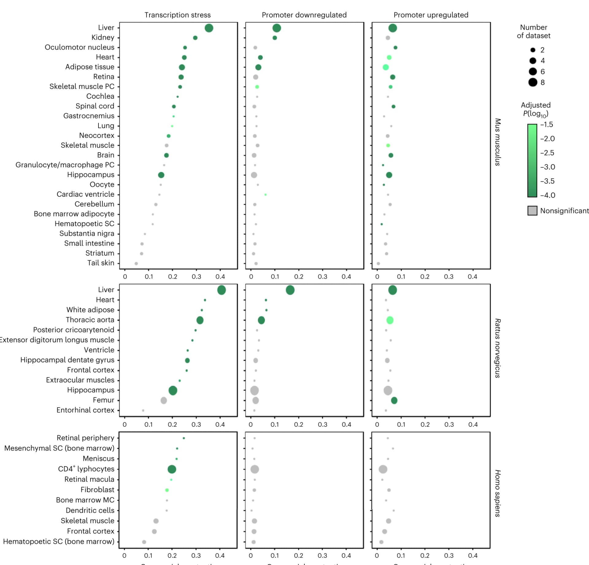 Open access visualization of Bubble Plot, Gene enrichment ratio, GSEA aging datasets, Mouse, Rat