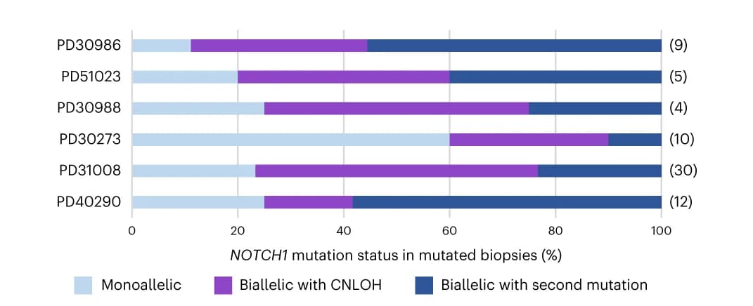 Open access visualization of Stacked Bar Plot, NOTCH1, Mutation, Monoallelic Alteration, Biallelic Alteration