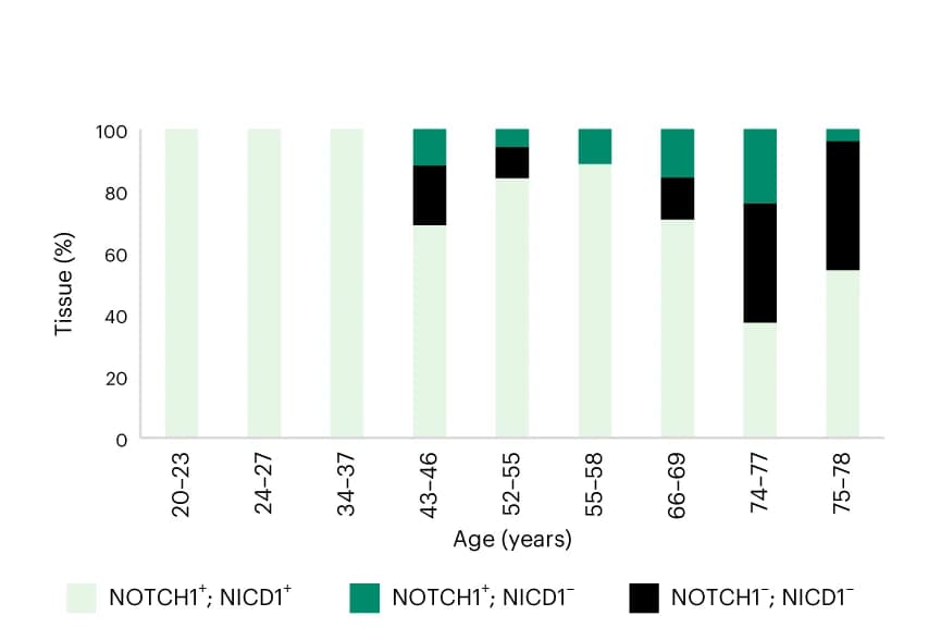 Open access visualization of Stacked Bar Plot, NOTCH1, NICD1, Donor, Tissue