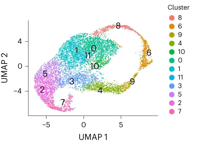 Open access visualization of Scatter Plot, UMAP, UMAP Plot, Keratinocytes, Stacked Bar Chart