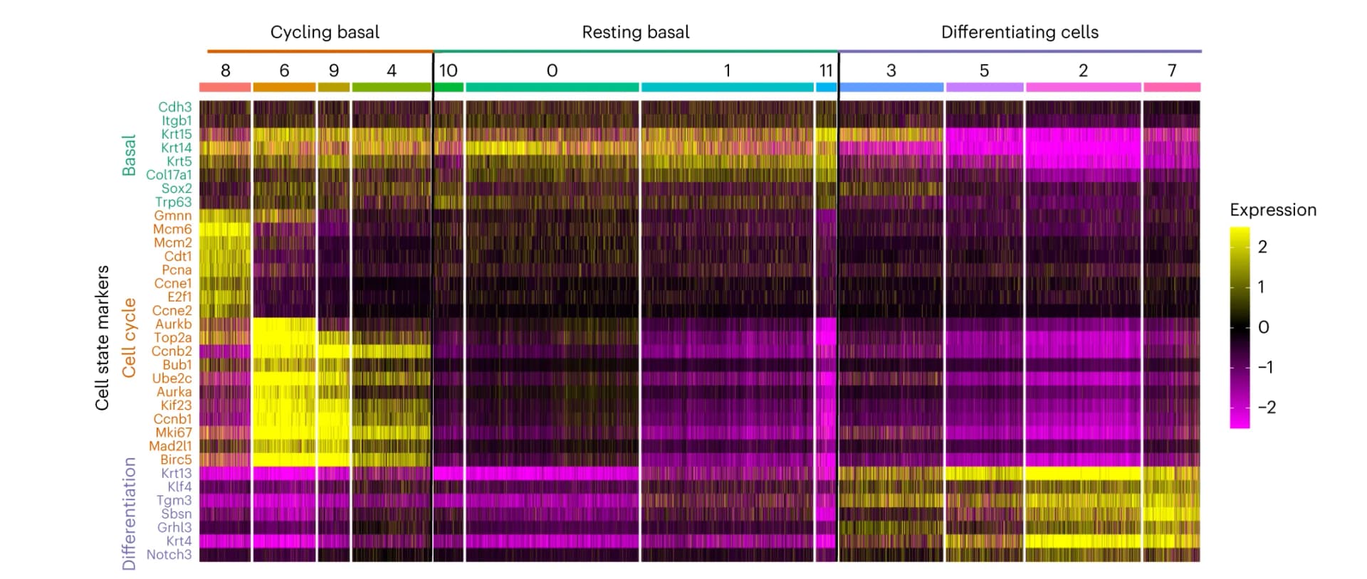 Open access visualization of Heatmap, Heat Map, Seurat, Expression Values, Keratinocytes