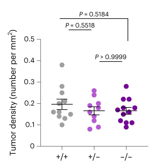 Open access visualization of Scatter Plot, Error Bars, Tumor Density, Genotype, Mice