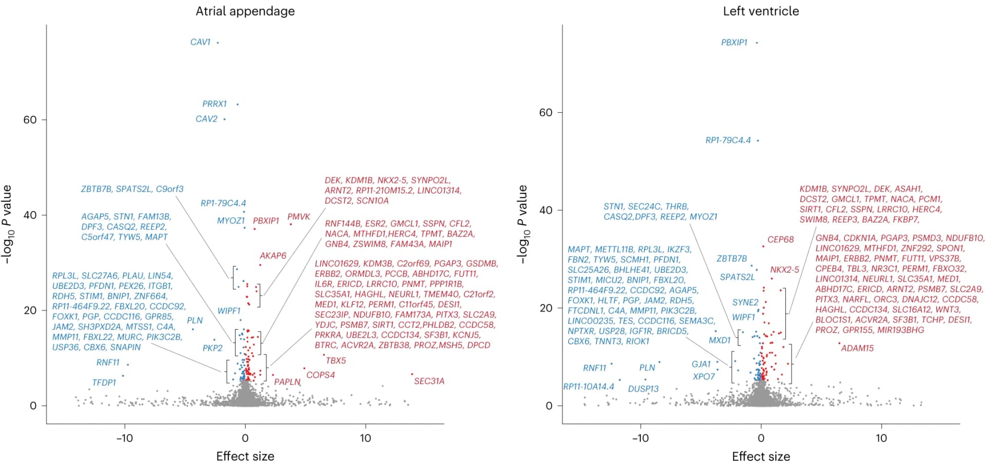 Open access visualization of Volcano Plot, Scatter Plot, Genes, Effect Size, TWAS