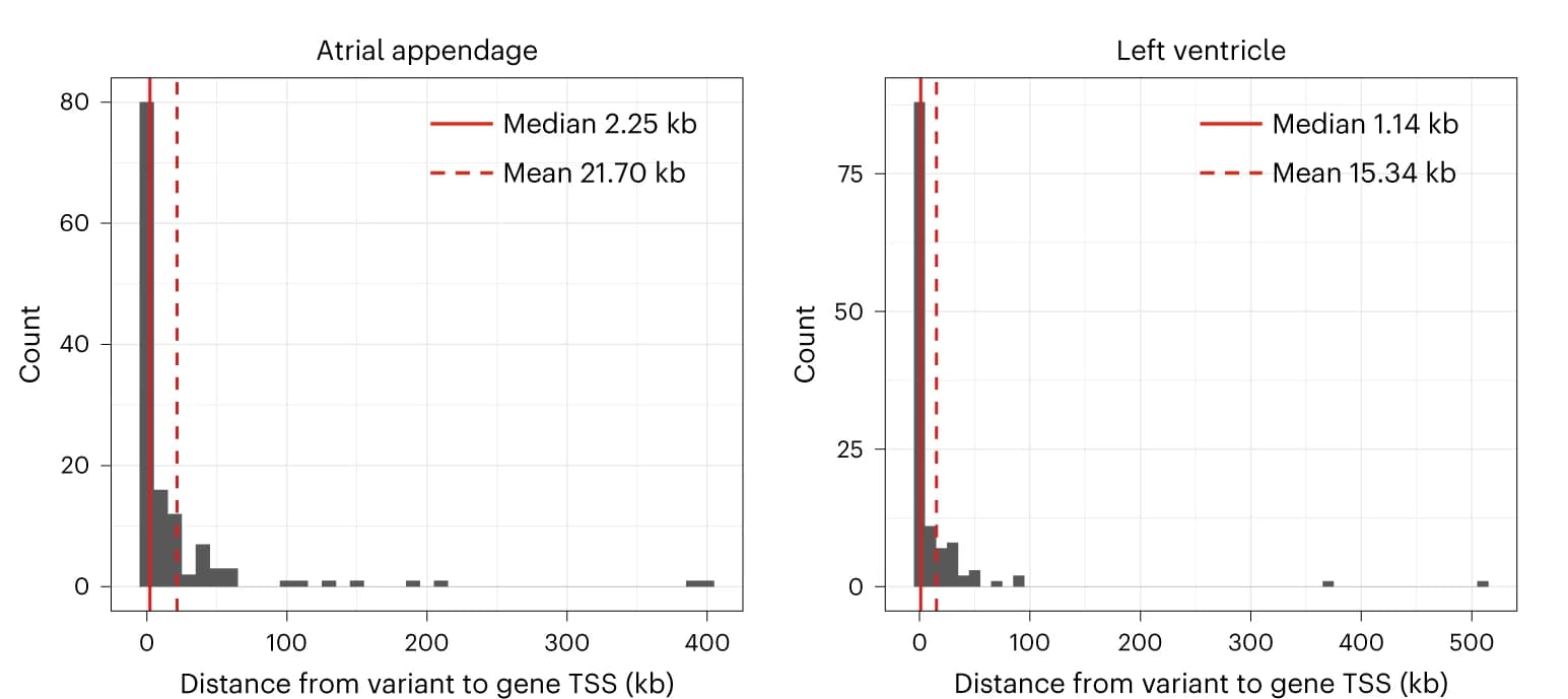 Open access visualization of Histogram, Line Plot, Physical Distances, AF-associated Variant, Prediction Model