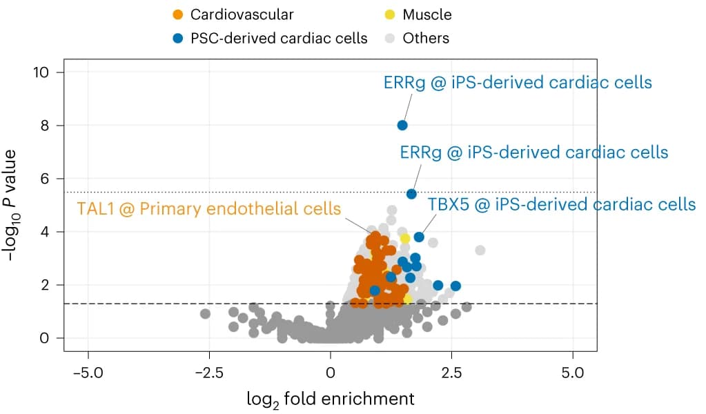 Open access visualization of Volcano Plot, Scatter Plot, ChIP-seq, Cardiovascular Cells, iPSC-derived Cardiac Cells