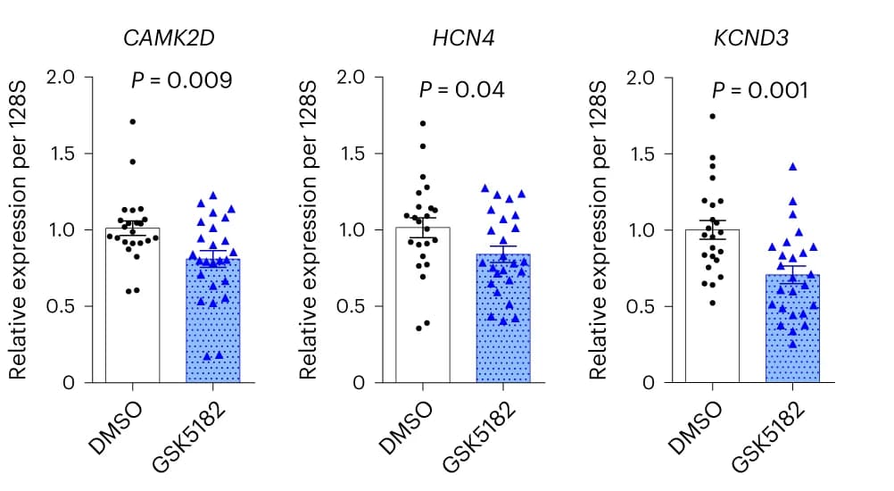Open access visualization of Bar Plot, Scatter Plot, Error Bars, Gene Expression, iPSCMs