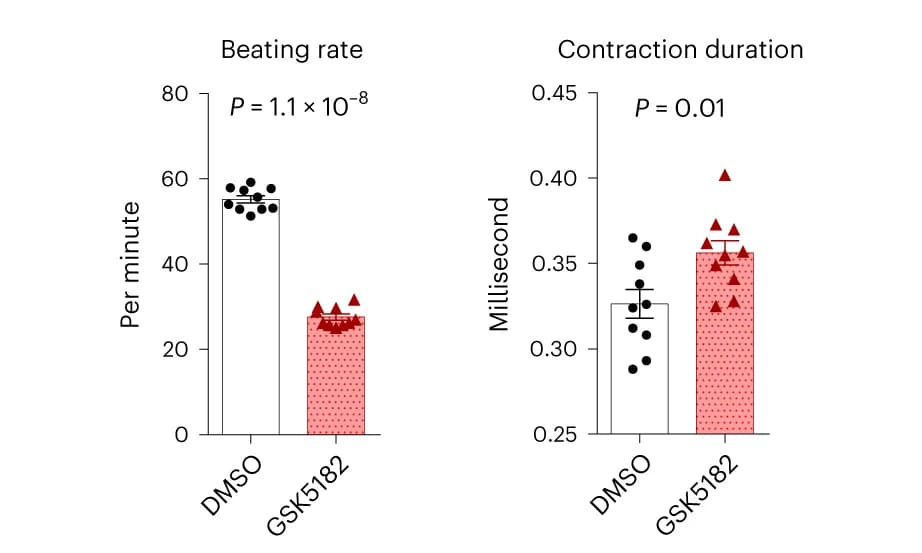 Open access visualization of Bar Plot, Error Bars, Scatter Plot, Beating Rate, Contraction Duration