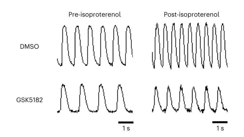 Open access visualization of Line Plot, Calcium Handling, iPSCMs, Calcium Transient Signal, Isoproterenol
