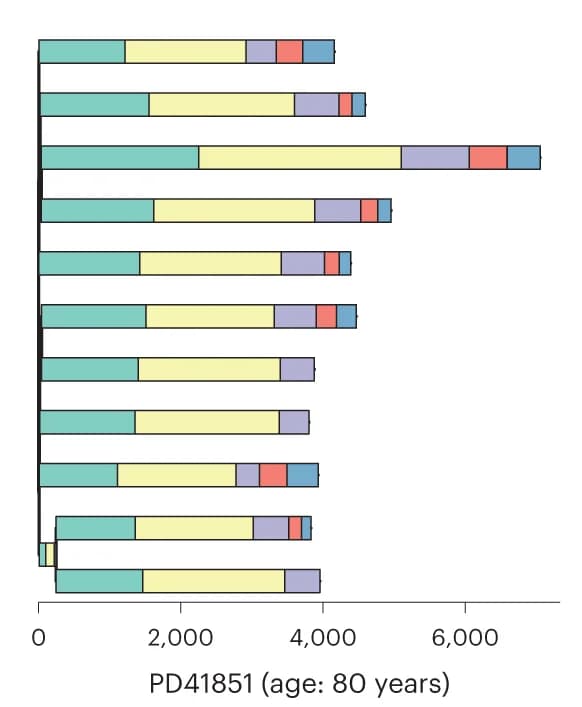 Open access visualization of Stacked Bar Plot, Phylogeny, APOBEC mutagenesis, SBS1, SBS5