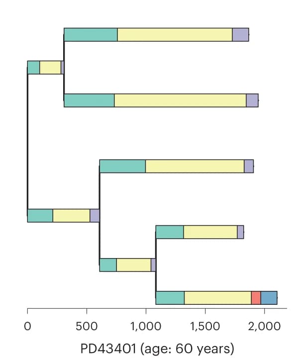 Open access visualization of Stacked Bar Plot, Workflow, Phylogeny, APOBEC mutagenesis, Crypt fission