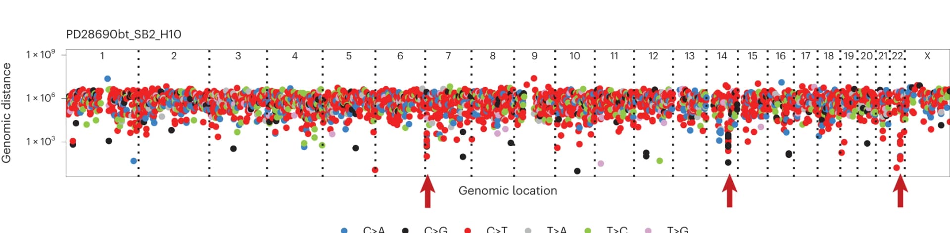 Open access visualization of Scatter Plot, Manhattan Plot, Crypt, Mutation, Chromosome