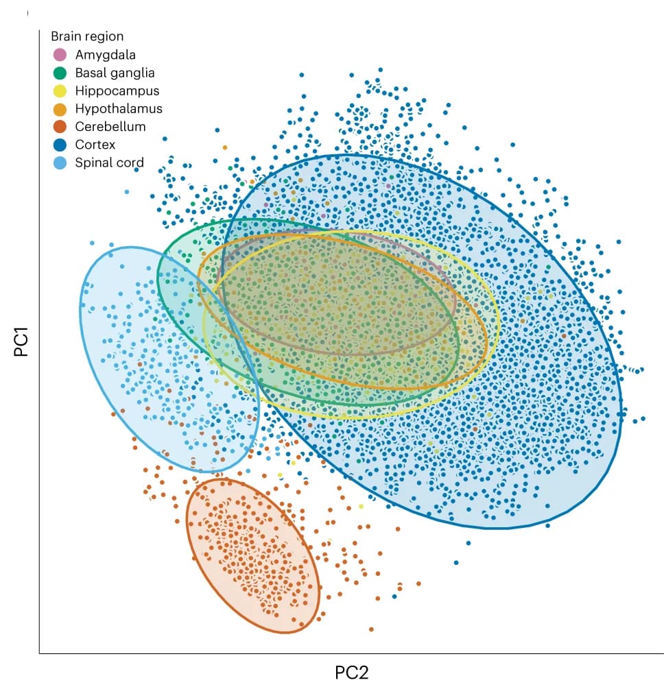 Open access visualization of Scatter Plot, PCA, Dimensionality reduction, Expression data, RNA-seq