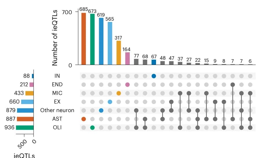Open access visualization of Bar Plot, Clustered, Network, Cell-Type ieQTLs, Cortex-EUR