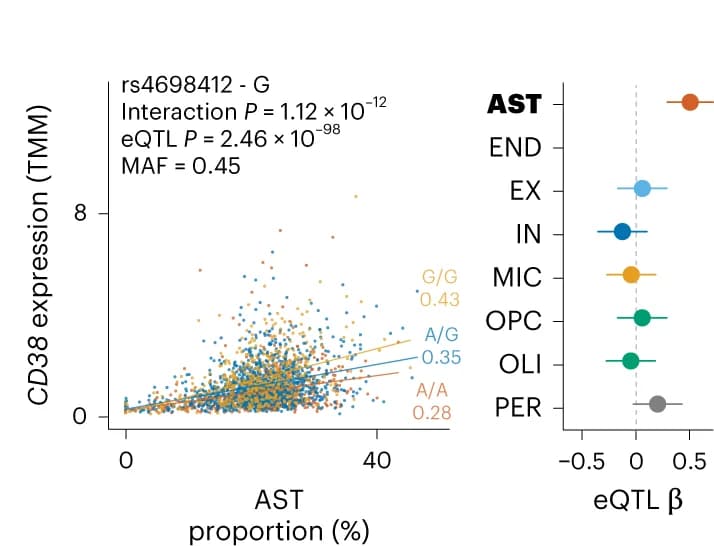 Open access visualization of Scatter Plot, Regression Plot, Forest Plot, Cell-Type ieQTLs, CD38