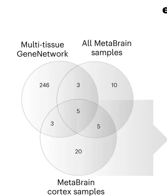 Open access visualization of Venn Diagram, Genes, MS, MetaBrain, Cerebellum