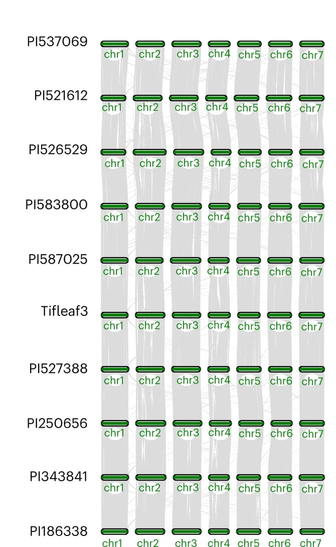 Open access visualization of Chord, Synteny Plot, Genomes