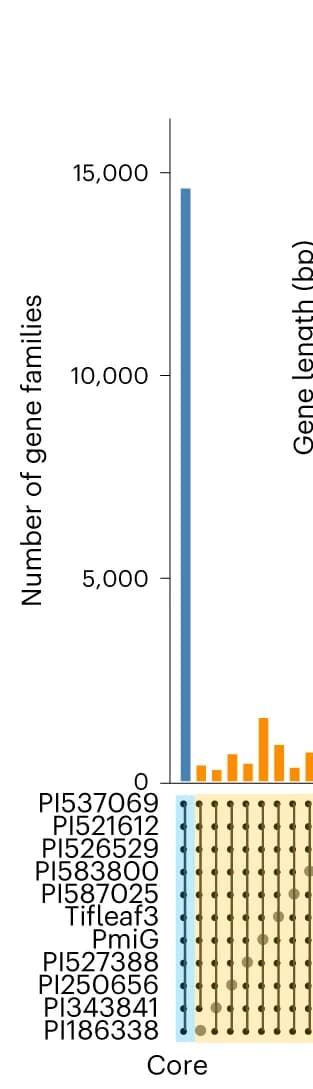 Open access visualization of Bar Plot, Bubble Plot, Core Gene Clusters, Pan-genome, Histogram