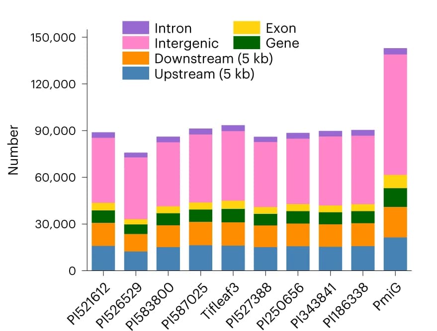 Open access visualization of Stacked Bar Plot, SVs, Genomic features, Genome