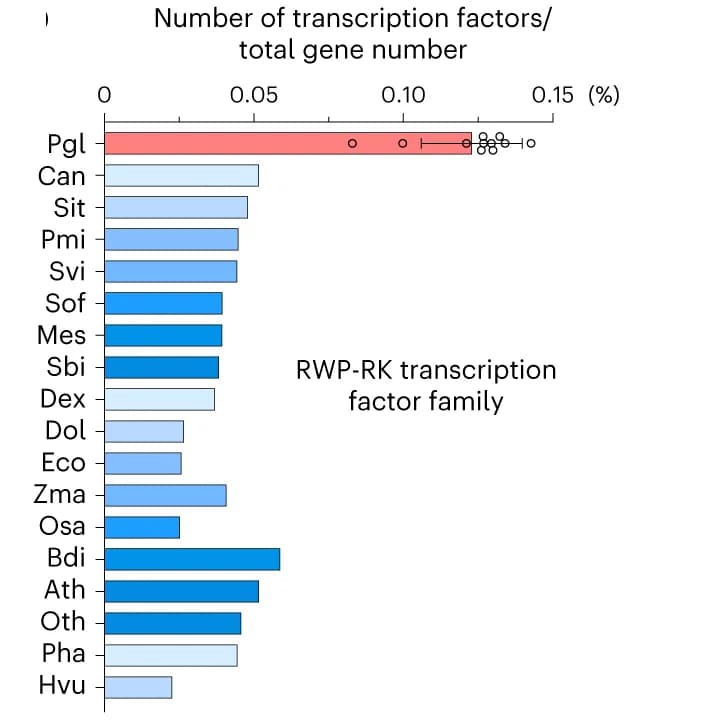 Open access visualization of Bar Plot, Error Bars, RWP-RK transcription factor, Genes, Pearl Millet