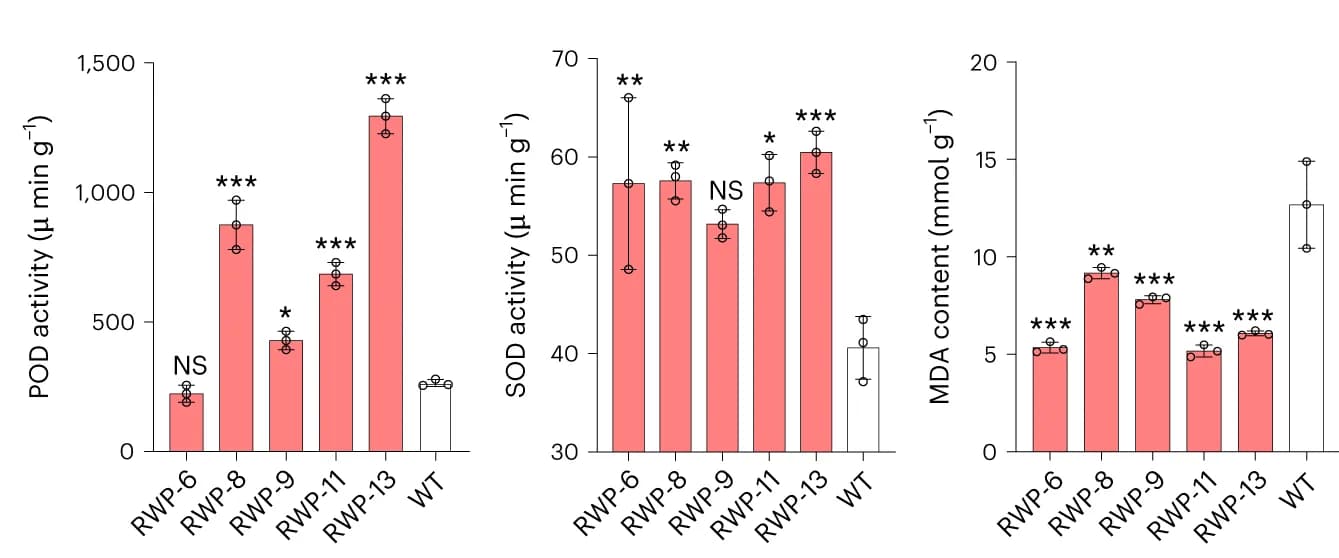 Open access visualization of Bar Plot, Error Bars, POD activity, SOD activity, Heat treatment