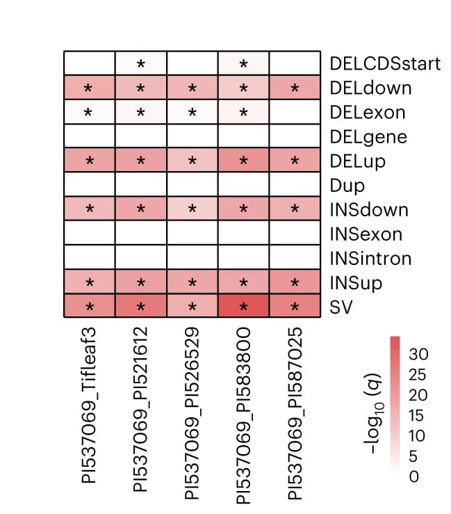 Open access visualization of Heatmap, Structural Variation, Gene Expression, Deletion, Duplication