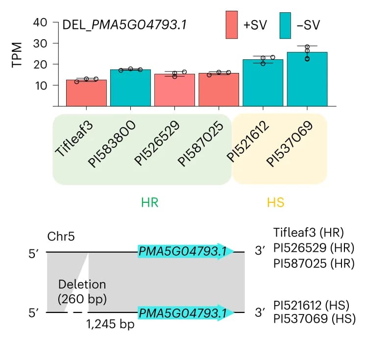 Open access visualization of Bar Plot, Error Bars, Illustration, Deletion, Gene Expression