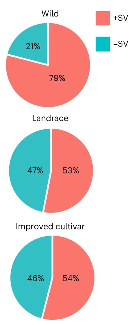 Open access visualization of Pie Chart, SVs, Wild Accessions, Landrace Accessions, Cultivars