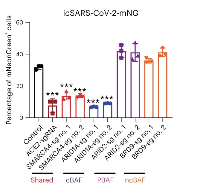 Open access visualization of Bar Plot, Error Bars, Bar Graph, mNeonGreen-expressing Vero E6 cells, Control Cells