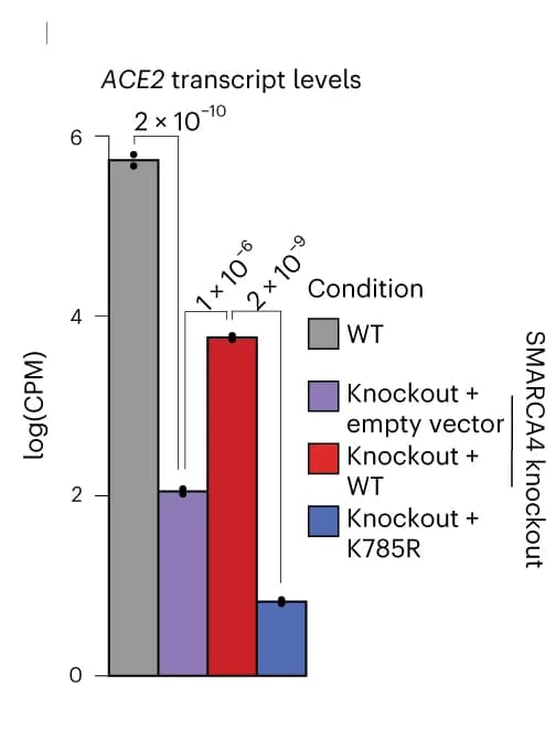 Open access visualization of Bar Plot, Error Bars, RPKM, ACE2, Vero E6 Cells