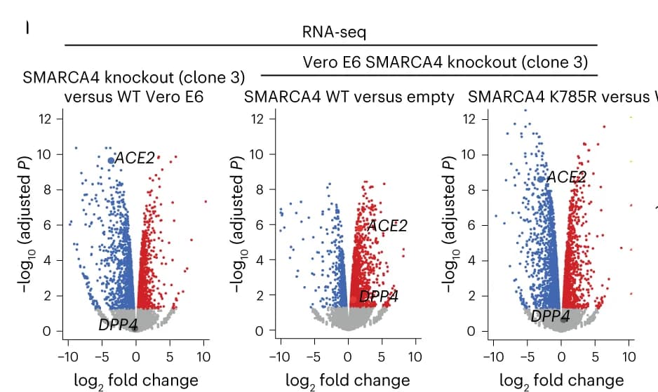 Open access visualization of Volcano Plot, Scatter Plot, Volcano Plots, Gene Expression, RNA-seq