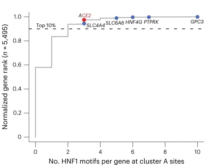 Open access visualization of Line Step, Scatter Plot, Gene Rank, HNF1 Motifs, Cluster A Sites