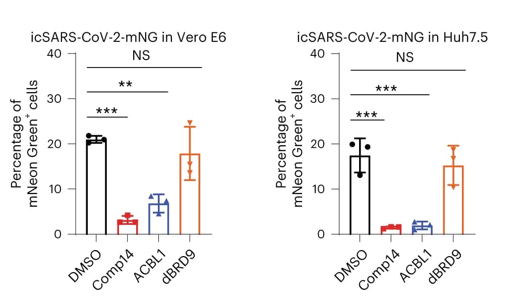 Open access visualization of Bar Plot, Error Bars, Vero E6 Cells, Huh7.5 Cells, Inhibitors