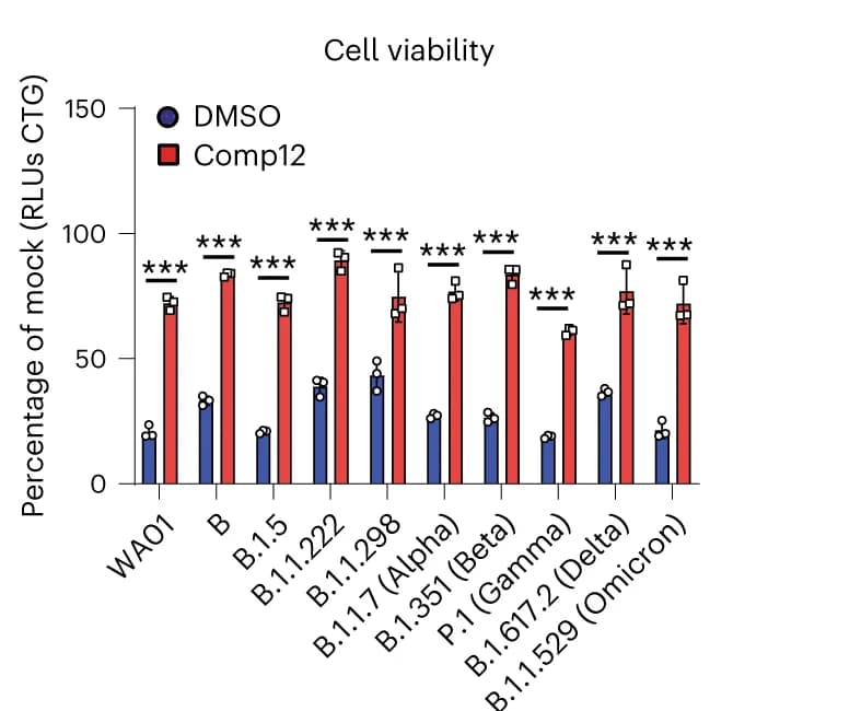 Open access visualization of Bar Plot, Error Bars, Clustered, Vero E6 Cells, Comp12