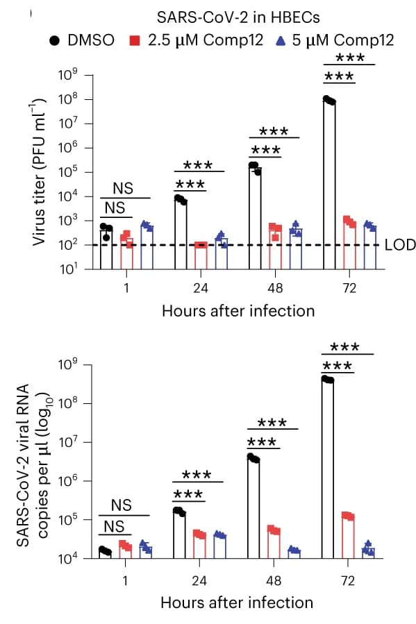 Open access visualization of Bar Plot, Error Bars, HBECs, Comp12, SARS-CoV-2
