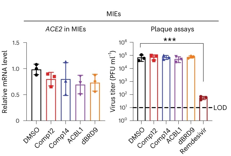 Open access visualization of Bar Plot, Error Bars, ACE2 Expression, SARS-CoV-2 Infection, MIEs