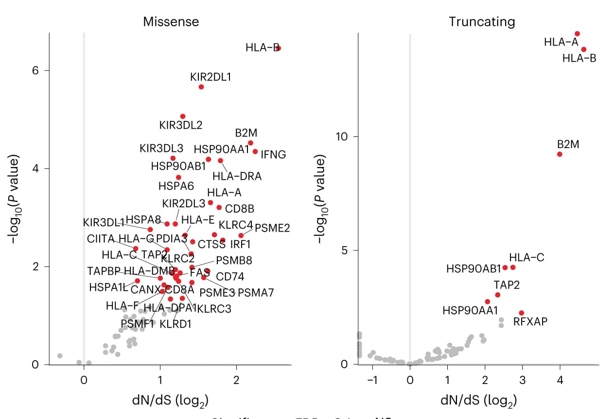 Open access visualization of Scatter Plot, Volcano Plot, Escape Genes, Missense Mutations, Truncating Mutations
