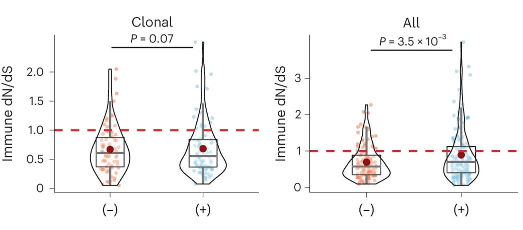 Open access visualization of Violin Plot, Box Plot, Scatter Plot, Immune dN/dS, Tumor