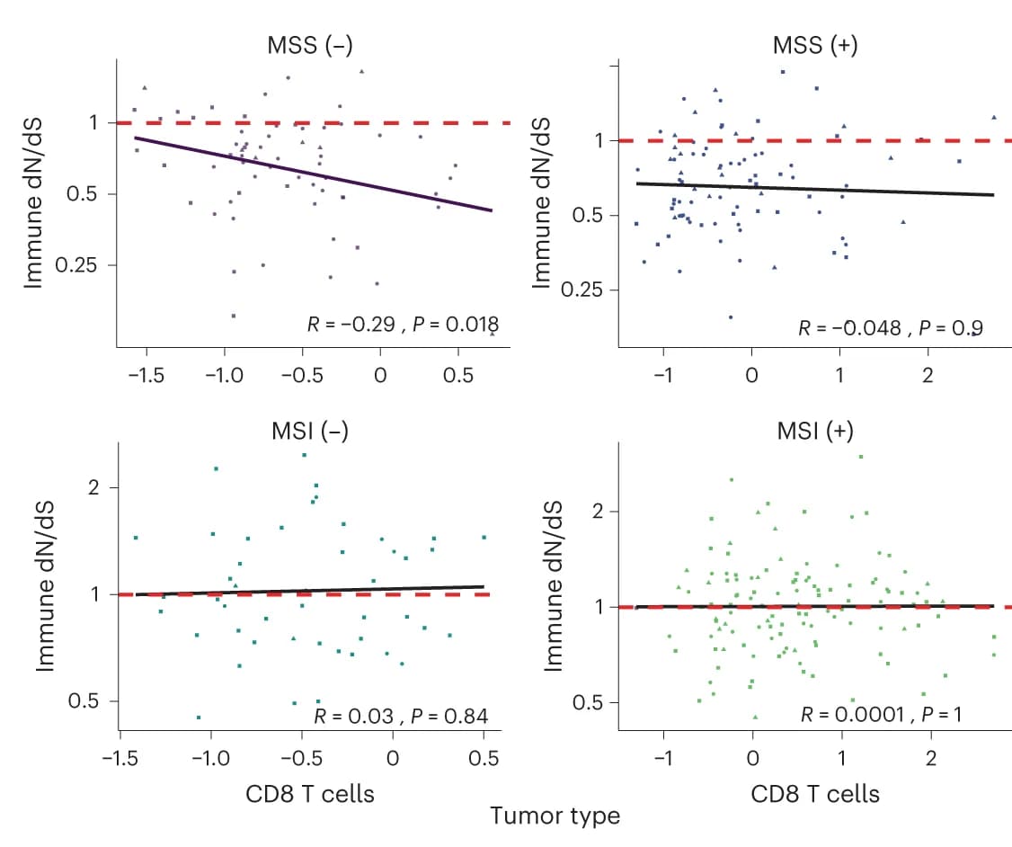 Open access visualization of Scatter Plot, Regression Plot, Immune dN/dS, CD8 T Cell, MSS