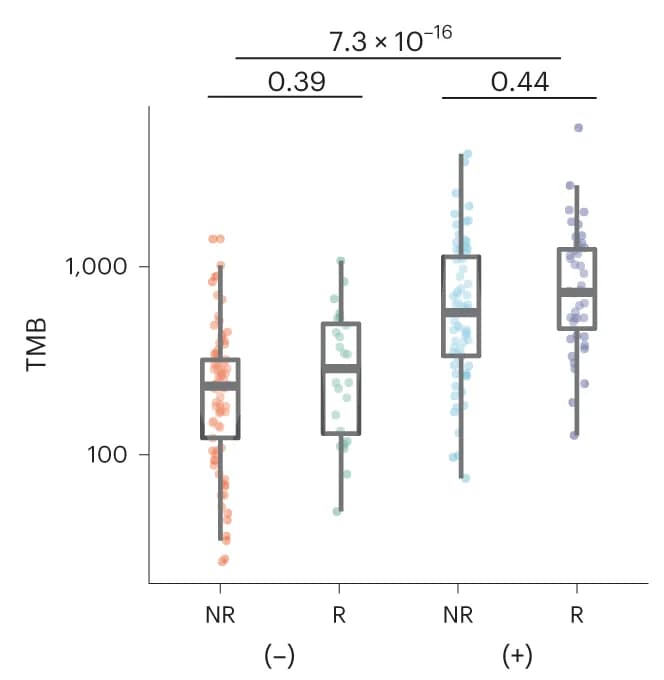 Open access visualization of Box Plot, Scatter Plot, Raincloud Plot, TMB, Escaped Tumors