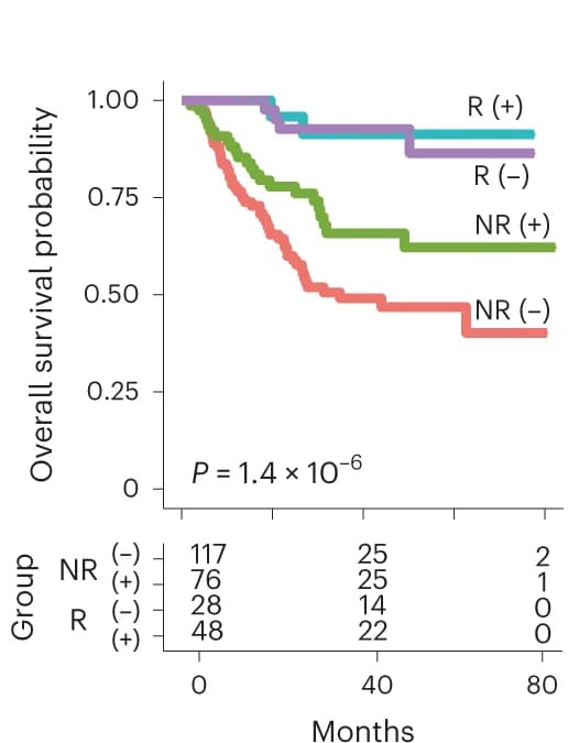 Open access visualization of Survival Curve, Line Step, Table Image, KaplanMeier Curves, Overall Survival