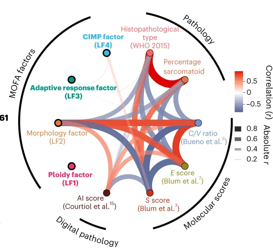 Open access visualization of Chord, Network, Latent Factors, Tumor Histopathology, Molecular Scores
