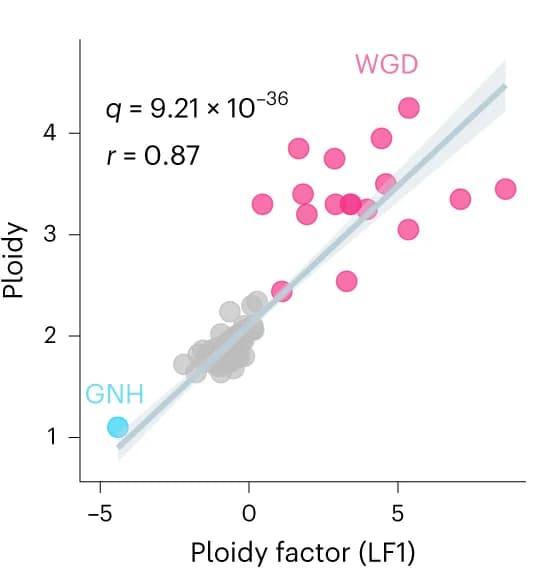 Open access visualization of Scatter Plot, Regression Plot, Ploidy, Ploidy Factor, Pearson Correlation