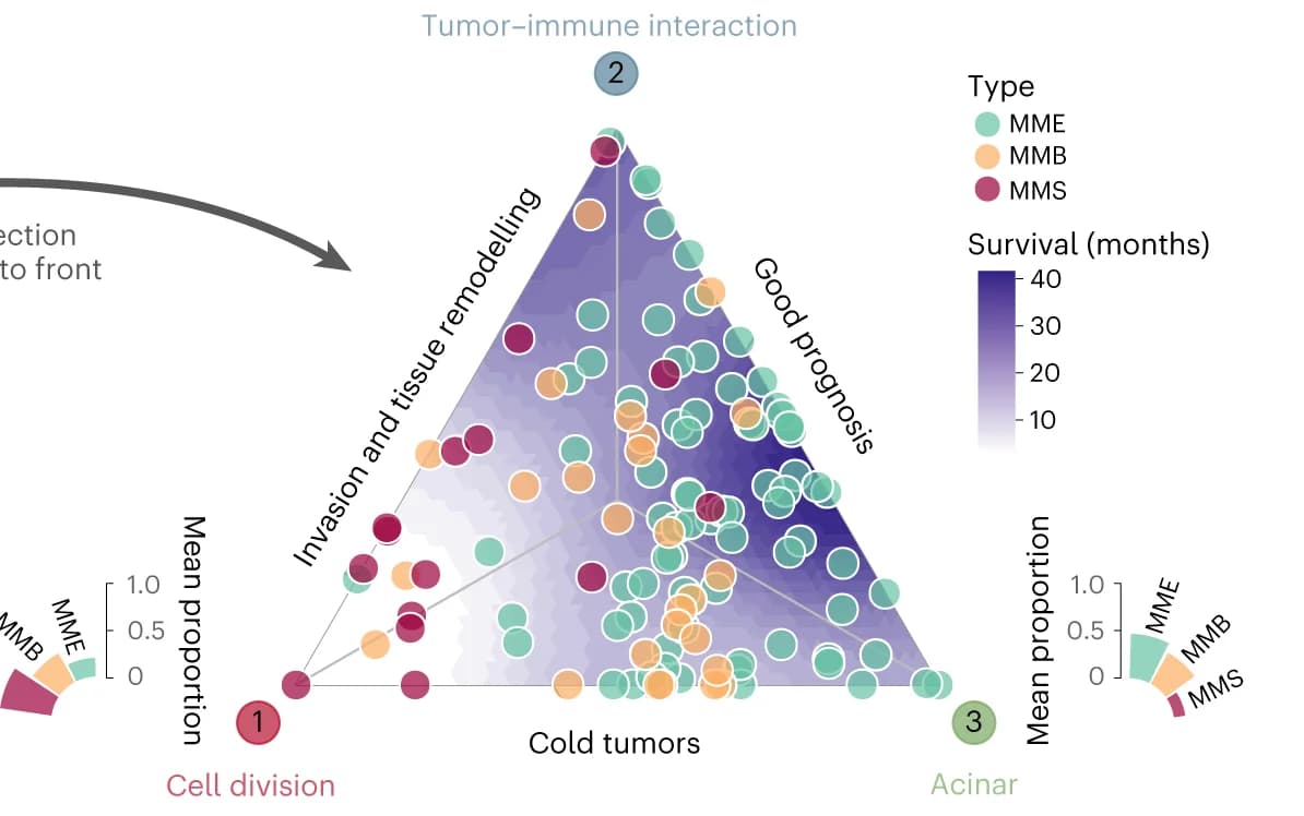 Open access visualization of Scatter Plot, Pie Chart, Ternary Plot, Specialized Profiles, Histopathological Types