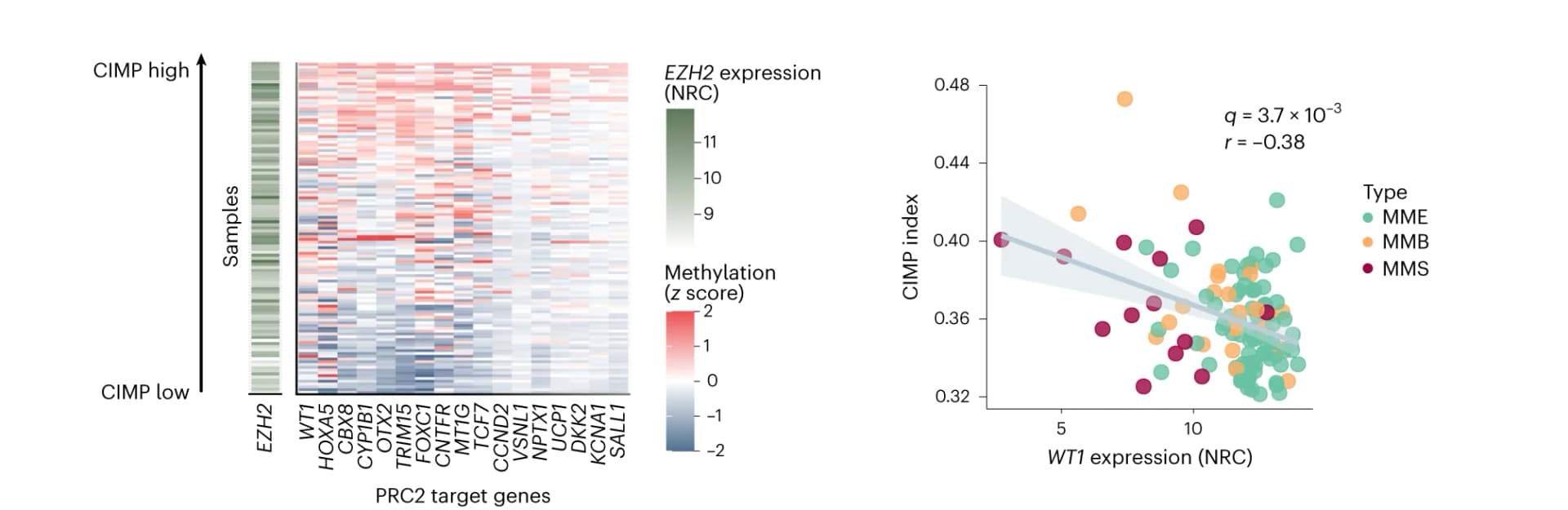 Open access visualization of Heatmap, Scatter Plot, Regression Plot, CIMP Index, EZH2 Expression