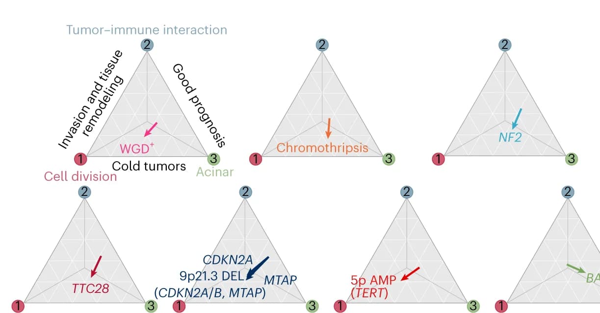 Open access visualization of Scatter Plot, Tumor Specialization, Genomic Alterations, Pareto Front, Effect Vector